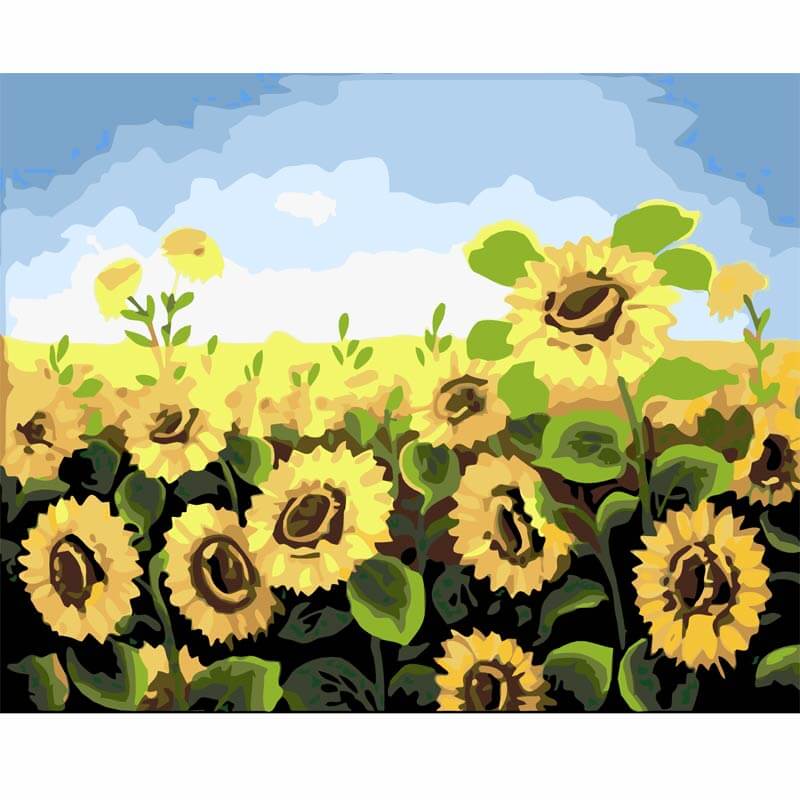 Sunflower Drawing On Canvas